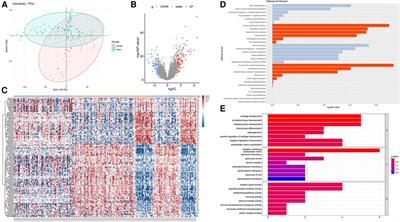 Signatures and prognostic values of related immune targets in tongue cancer